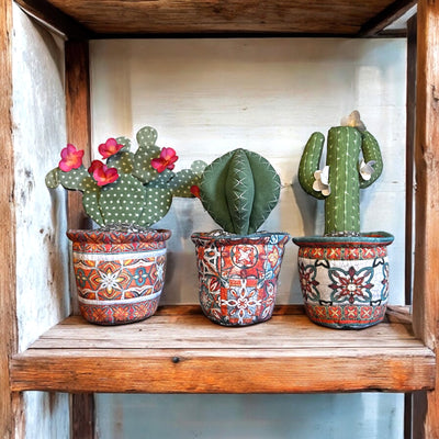 Carefree Cacti Sewing Kit