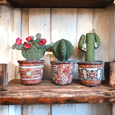 Carefree Cacti Sewing Kit