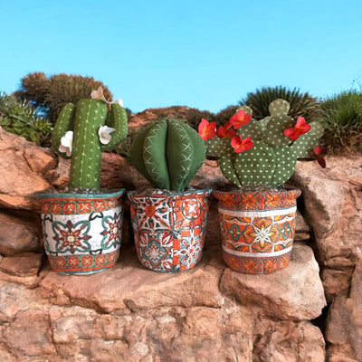 Carefree Cacti Sewing Kit
