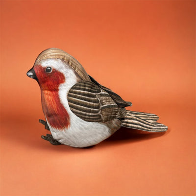 Garden Birds - Robbie Robin Kit